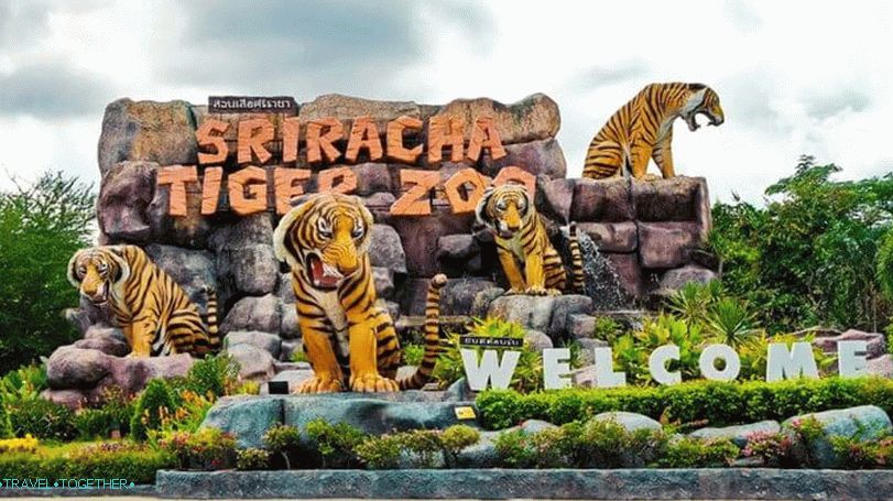 Siracha Tiger Zoo u Pattaya