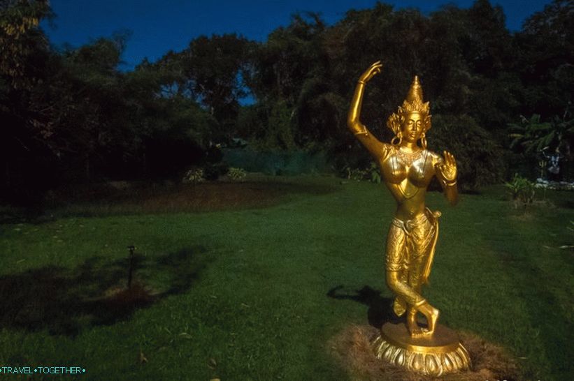 Agama Yoga - predavanja i tečajevi joge u Phanganu