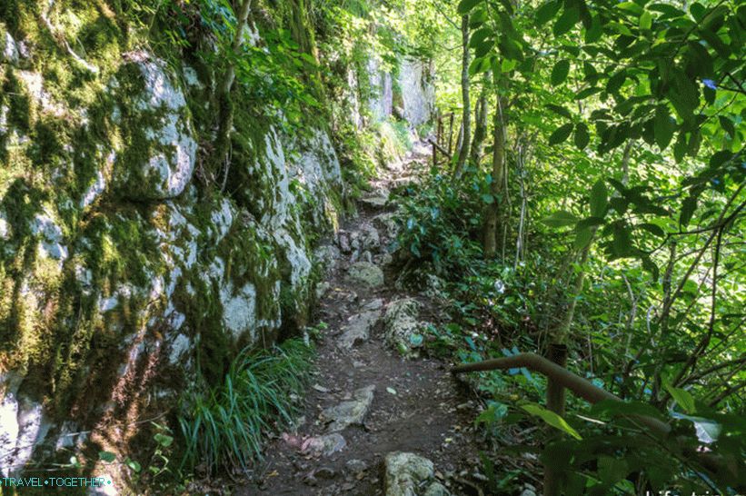 Nakon toga, staza je već s kamenjem i grčevima