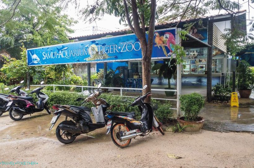 Akvarij i zoološki vrt Tigar