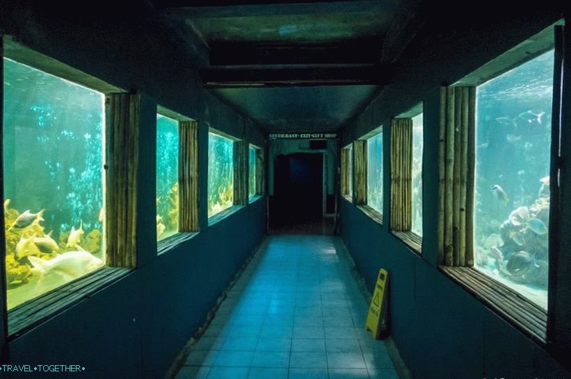 Akvarij i Tiger Zoo na Samui - tužni i skupi