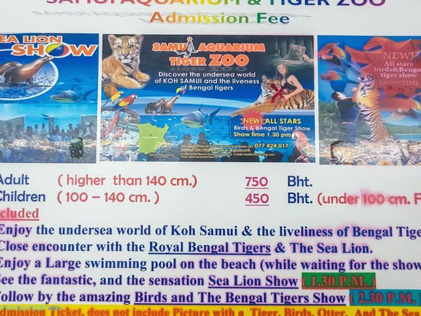Akvarij i Tiger Zoo na Samui - tužni i skupi