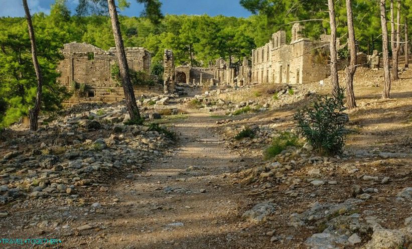 „Seleuciju”