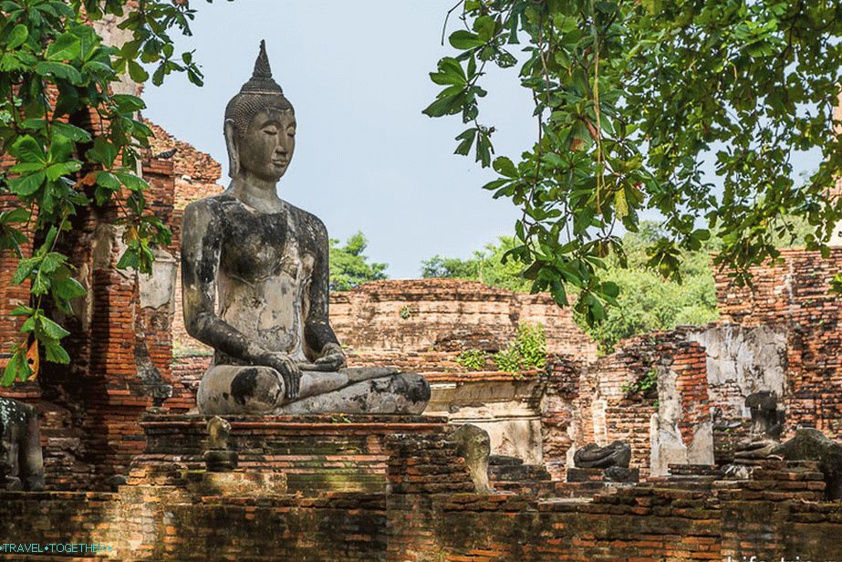 Buddha među ruševinama i drvećem