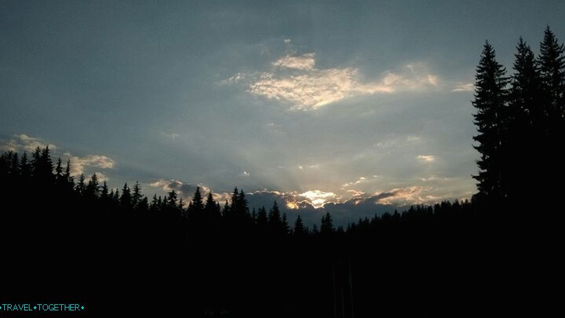Rodopske šume