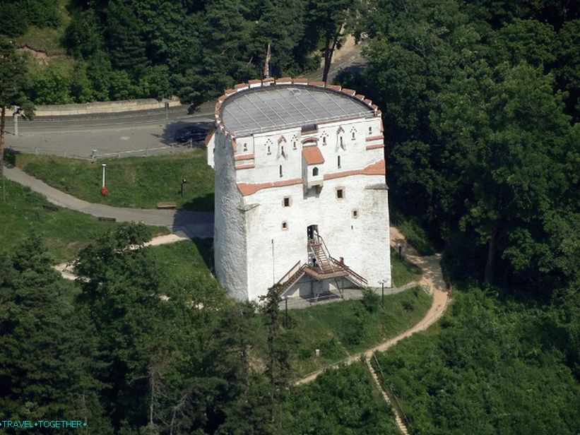 Bijela