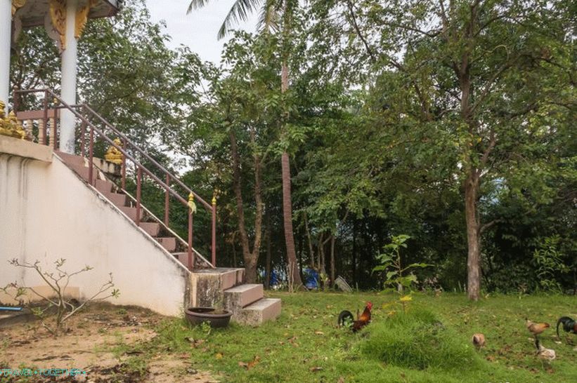 Budistički hram Phu Kha Noi na Phanganu - najstariji na otoku
