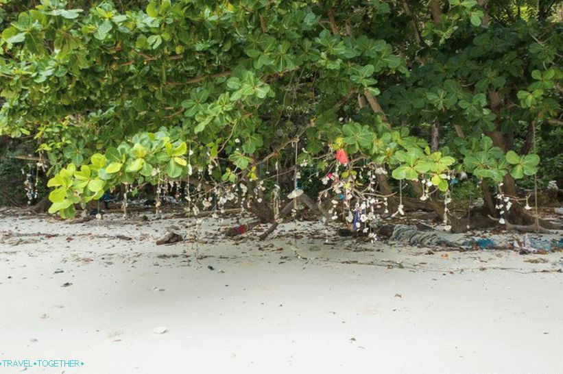 Uvala Bay Maya na Phi Phi - cijela istina o plaži iz filma s Di Capriom