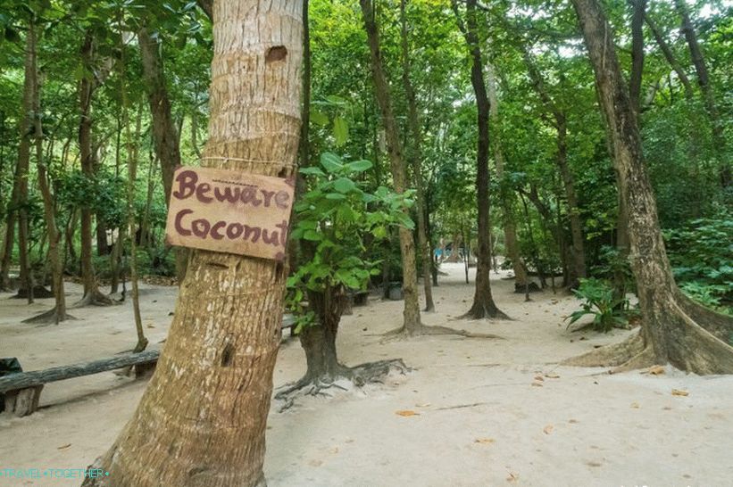 Uvala Bay Maya na Phi Phi - cijela istina o plaži iz filma s Di Capriom