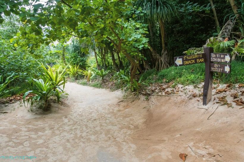 Uvala Bay Maya na Phi Phi - cijela istina o plaži iz filma s Di Capriom