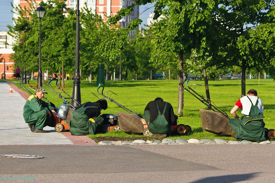Sinkroni popravak kosilice