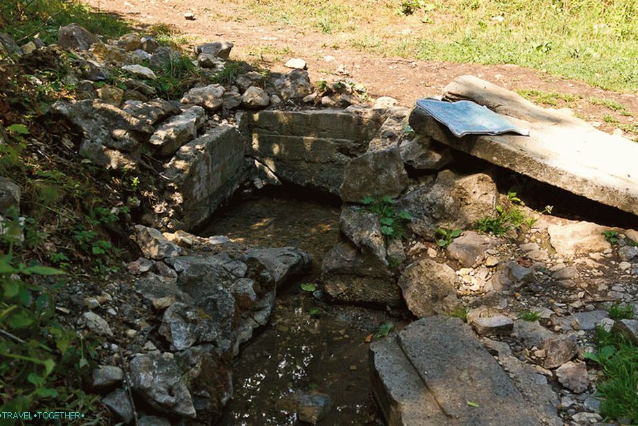 Proljeće na bukovoj livadi