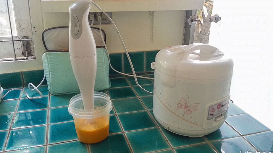 Blender sjeckani mango