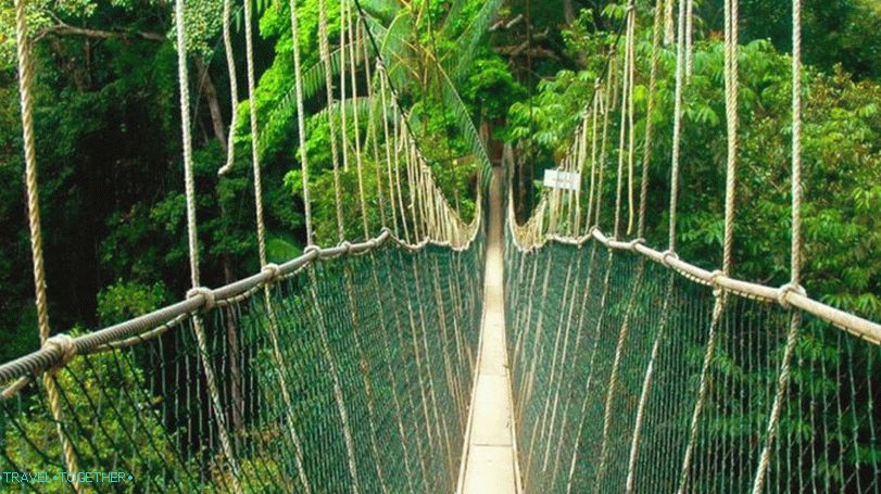 Rope bridge u Nacionalnom parku Taman-Negara