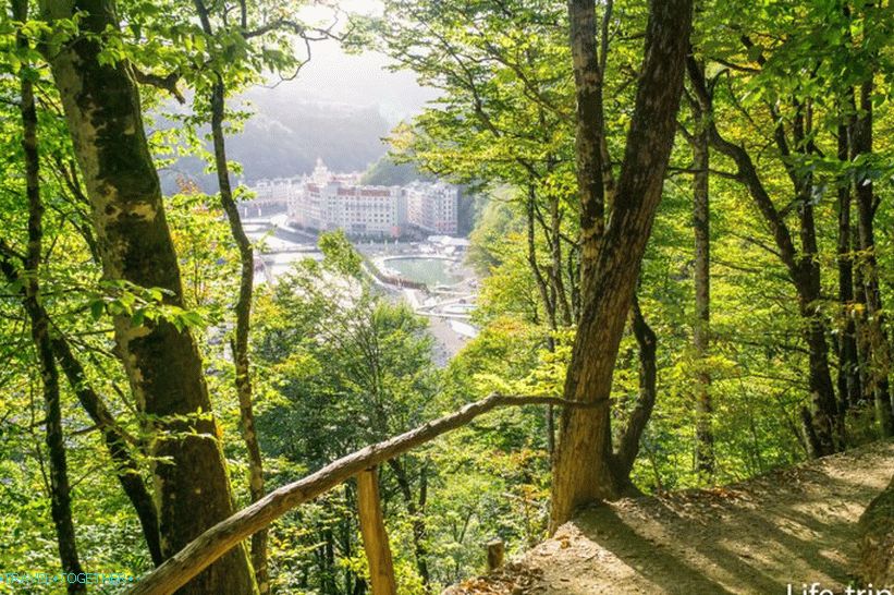 Staza zdravlja, Rosa Khutor