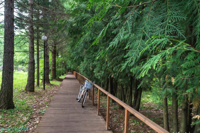 Arboretum u Pereslavlu