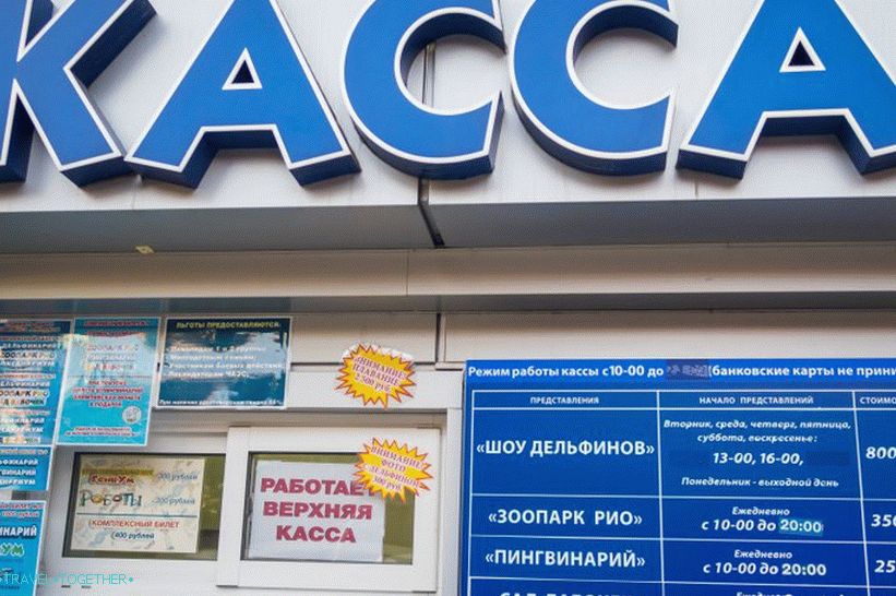 Rivijera dupina u Sočiju - obiteljski odmor s dupinima