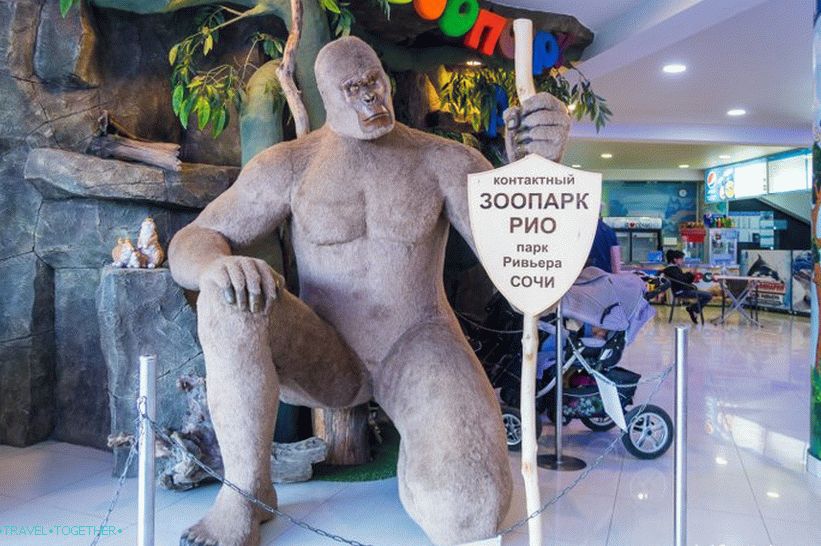 Rivijera dupina u Sočiju - obiteljski odmor s dupinima