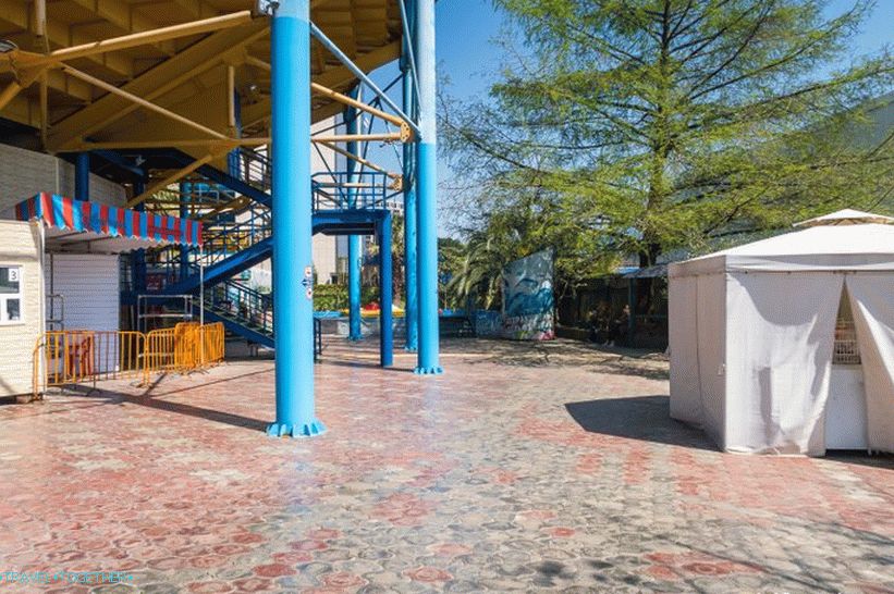 Delfinarij u Adleru (bivši Aquatorium) - za neiskusne