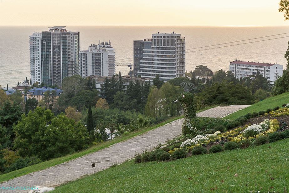 Sochi Arboretum, na samom vrhu