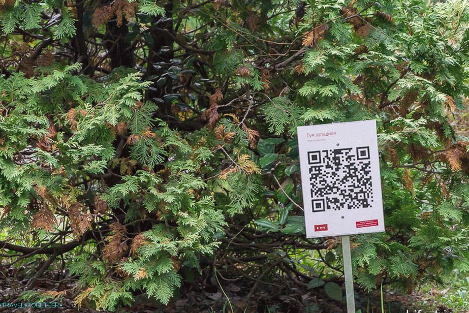Neke biljke nisu samo potpisane, već imaju i QR kod