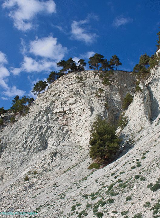 Divlje plaže na Crnom moru