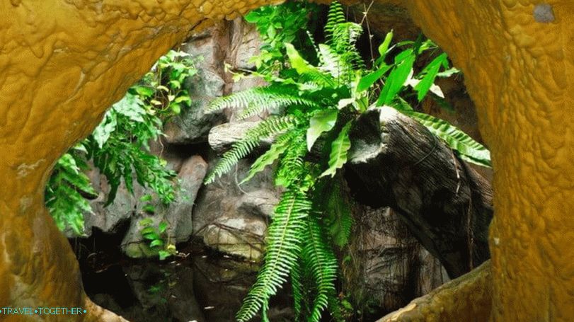 Park dinosaura na Phuketu