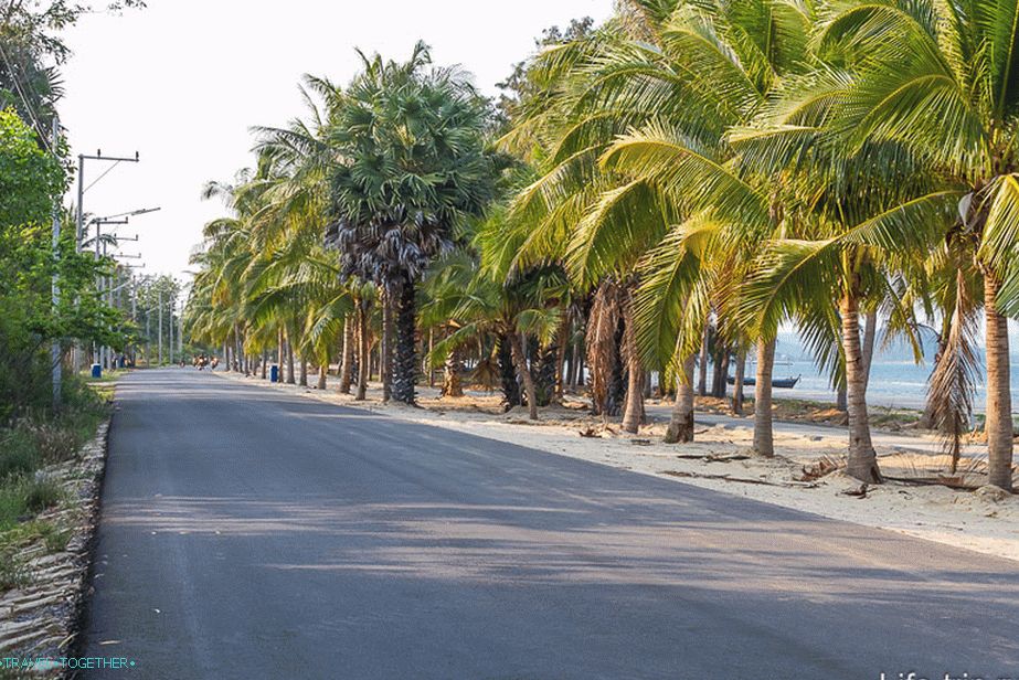 Ne civilni dio plaže, samo cesta, palme i gotovo nitko