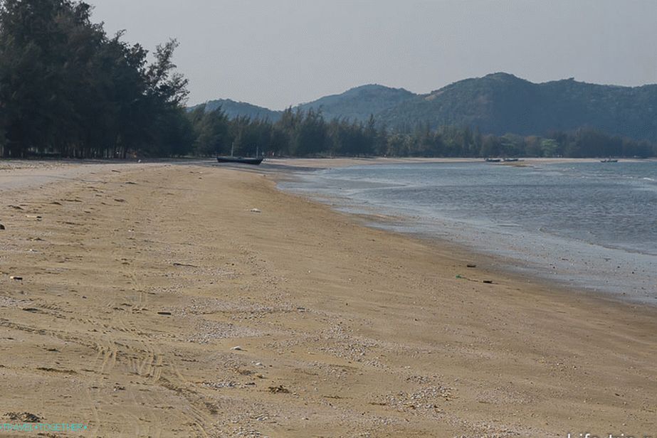 Plaža u zaljevu Dolphin uokvirena je borovima i palmama