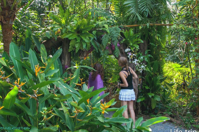 Dusit Dhewa - kulturni centar na Koh Samui