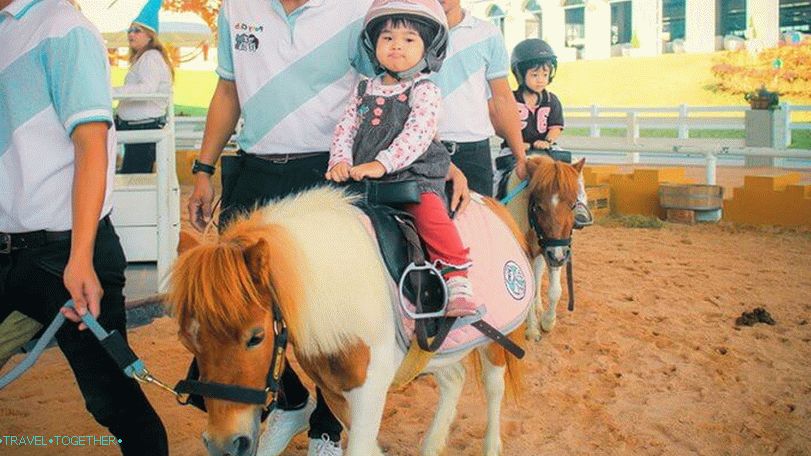 Pipo Pony Farma u Pattayi