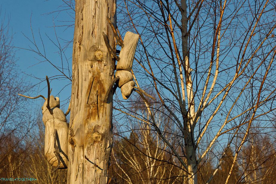 Festival Archstoyanie u regiji Nikolo-Lenivets Kaluga
