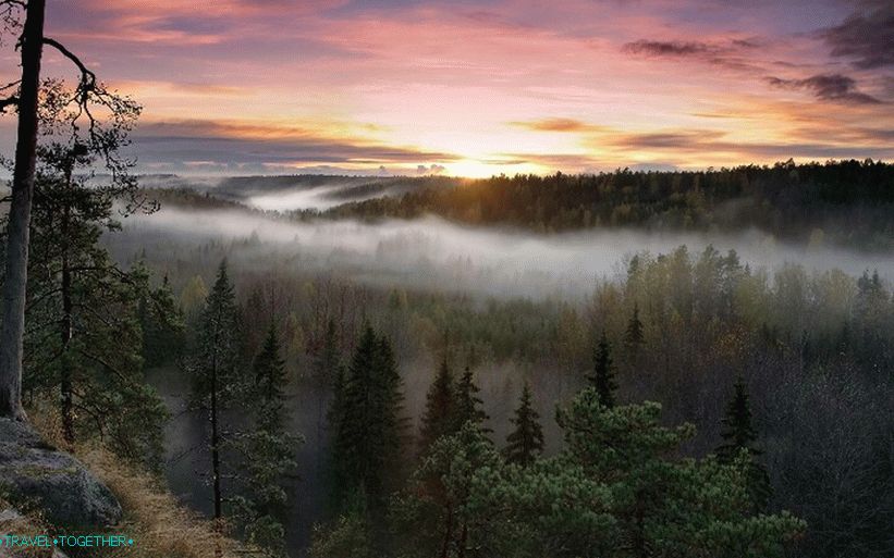 Magla u šumama Finske