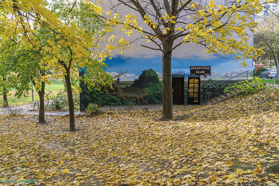 Neki grafiti su lijepi i vrlo tematski