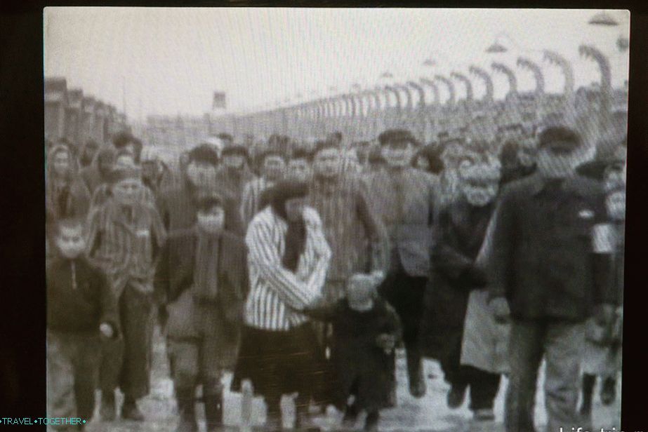 Fotografije na ruskoj izložbi