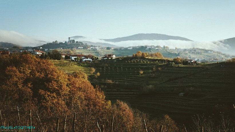 Magla na brdima u Goriškim Brdima