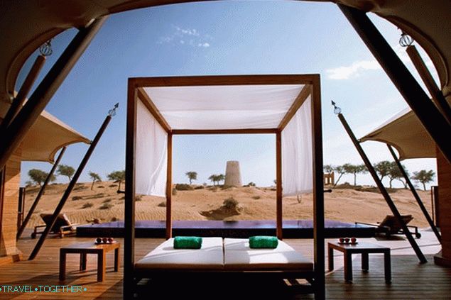 BANYAN-drvo-AL-Wadi