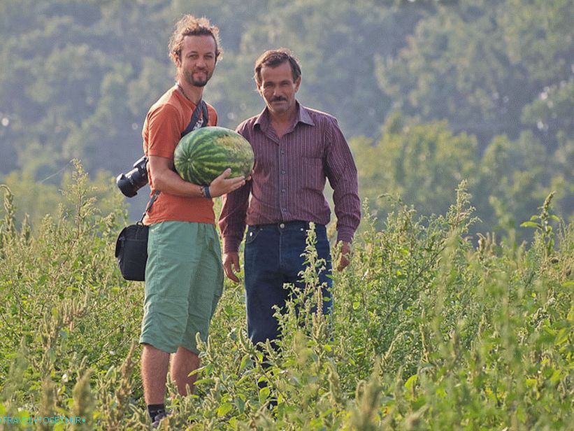 Najukusnija lubenica u životu