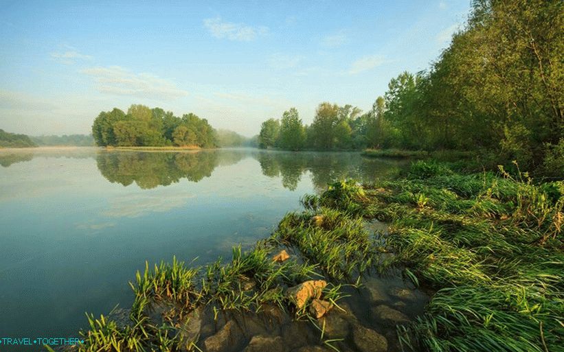 Drava