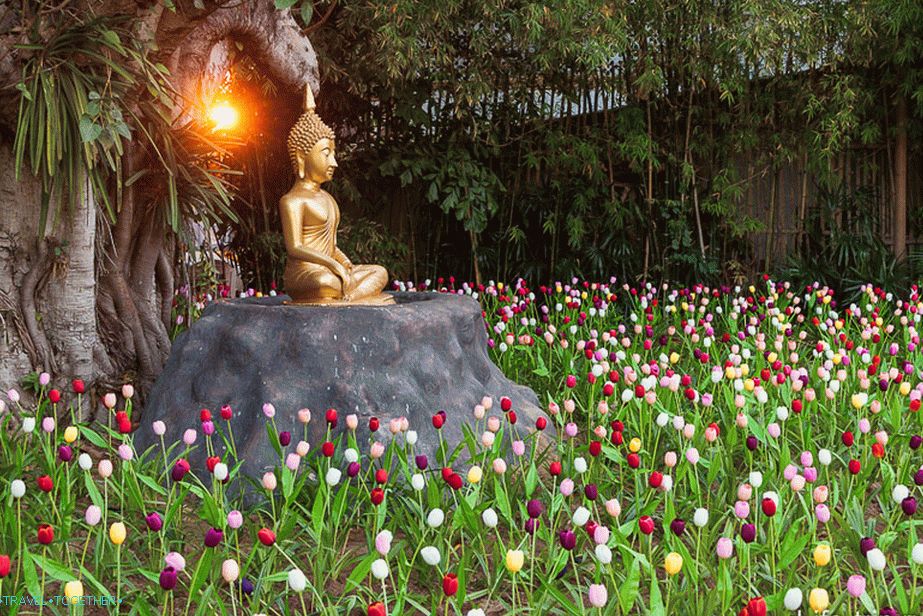 Buddha u dvorištu okružen umjetnim tulipanima