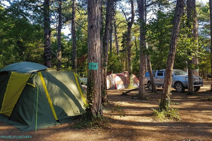 Stigli smo u kamp Pine Paradise, volim borove!