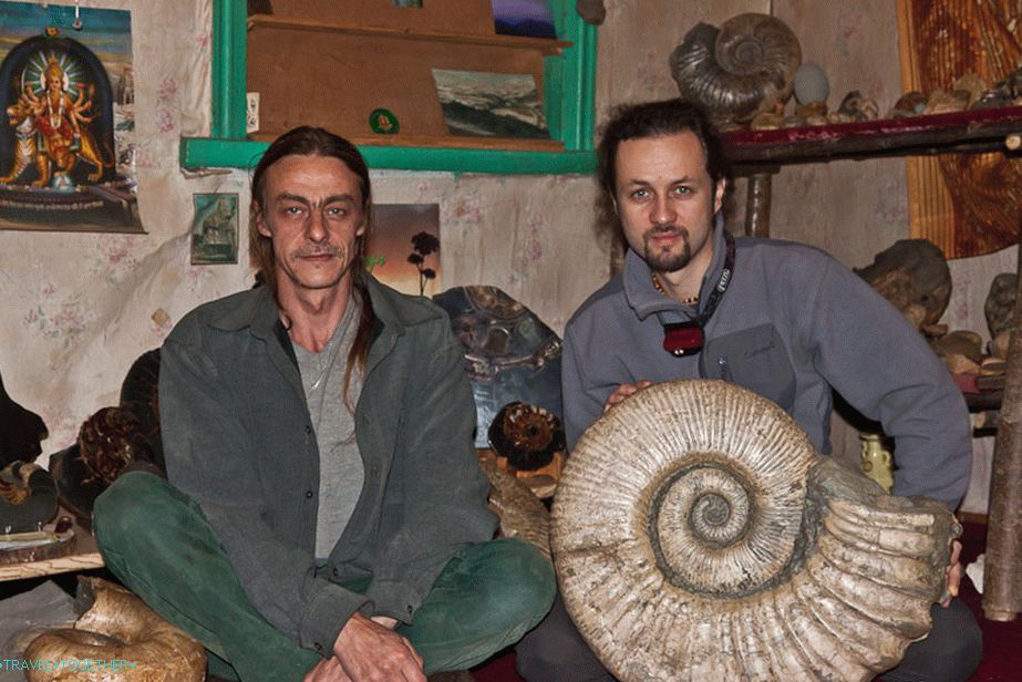 Eugene Ammonites Collection