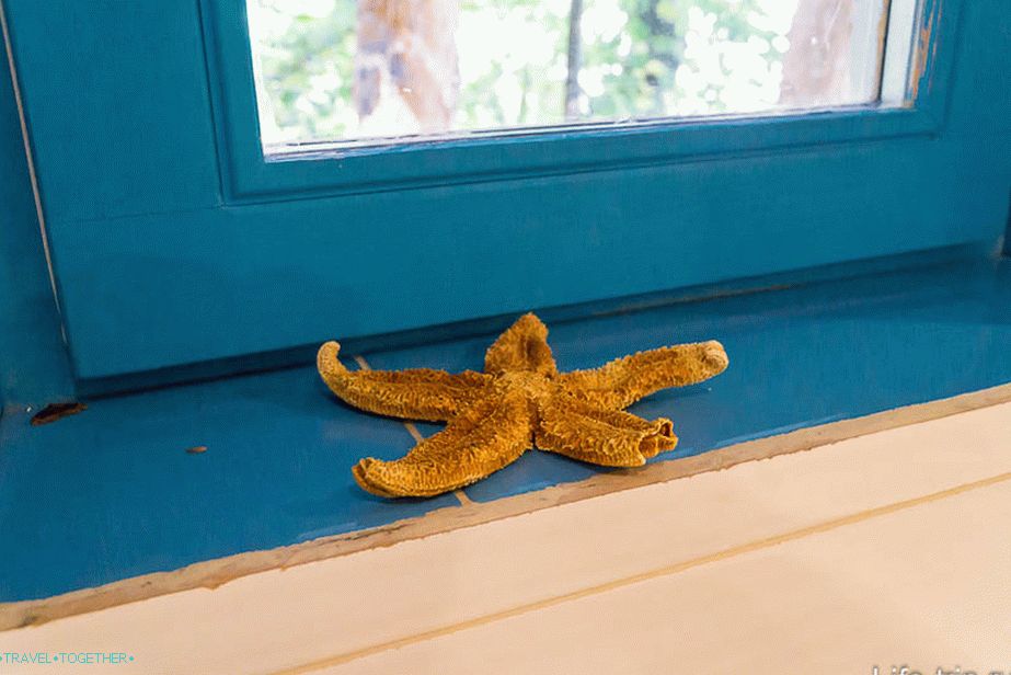 Svugdje, sitni detalji, ugodan oku