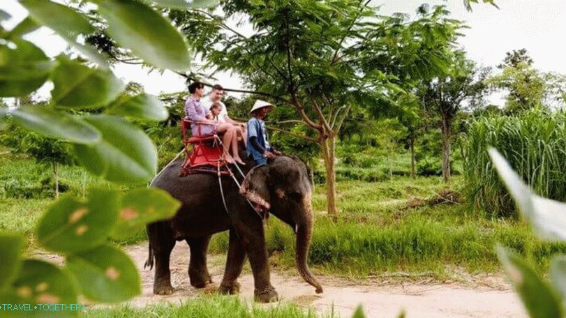 Jahanje na slonovima u Namuang Safari parku na Samuiju