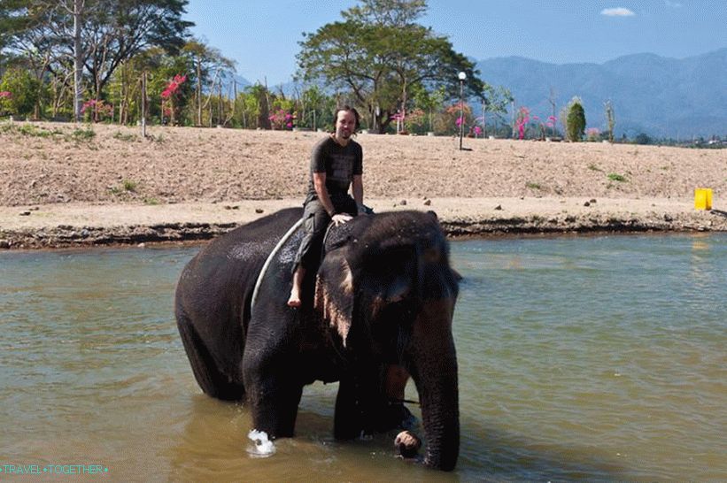 Jahanje na slonu u Tajlandu
