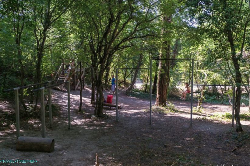 Šipke, vodoravne šipke i bungee