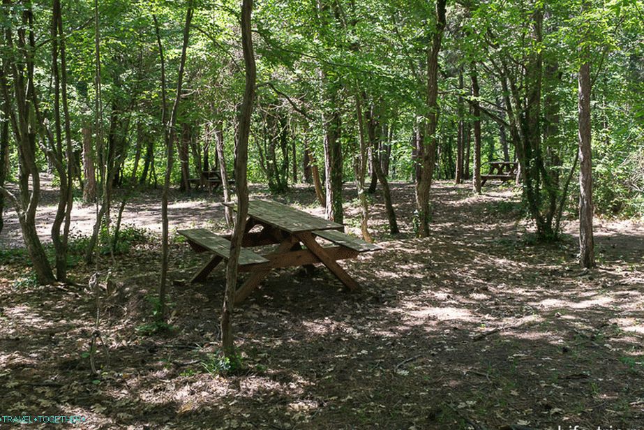 Glade ispod šatora (kratke udaljenosti između stabala)