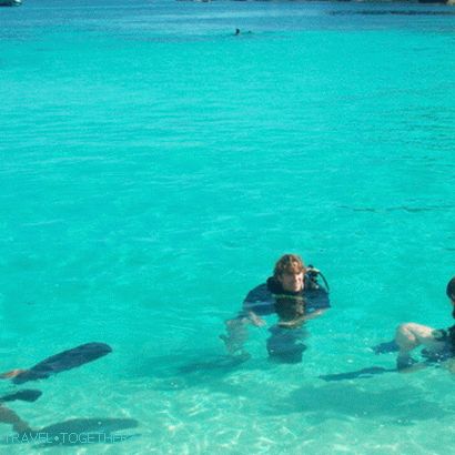 Ronjenje na Koh Tao