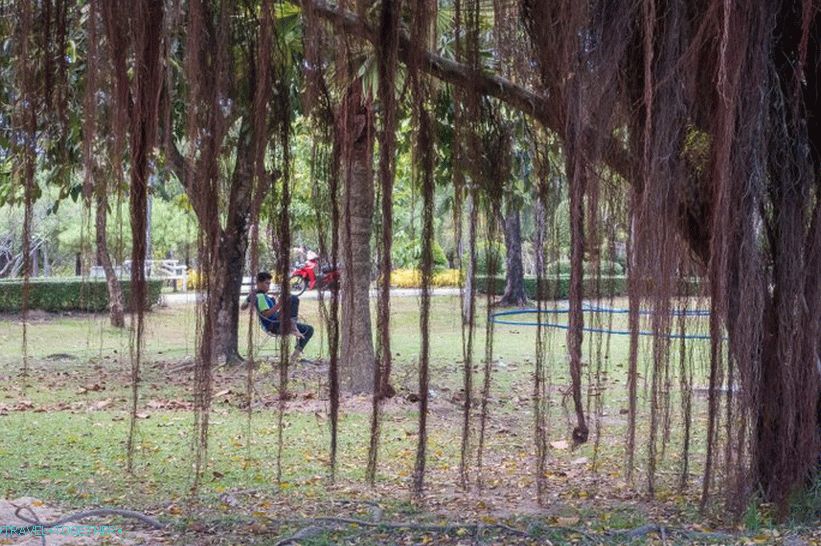 Kraljevski park (park Rama IX) - jedini park na Phuketu