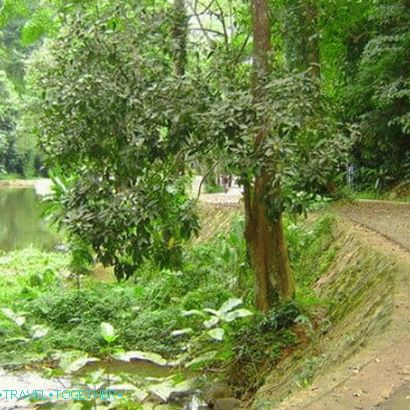 Vodopad Ton Sai u Phuketu
